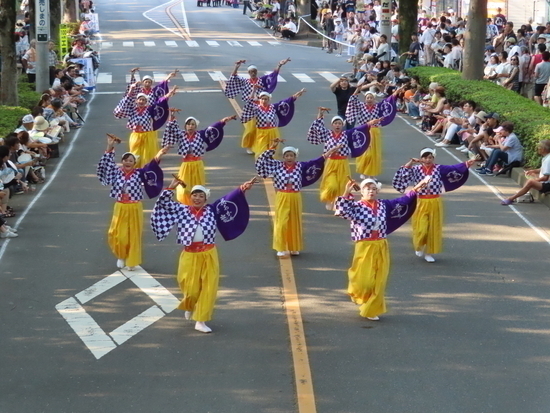 関八州よさこいフェスタ