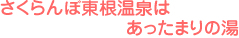 さくらんぼ東根温泉はあったまりの湯