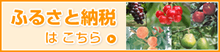 ふるさと納税