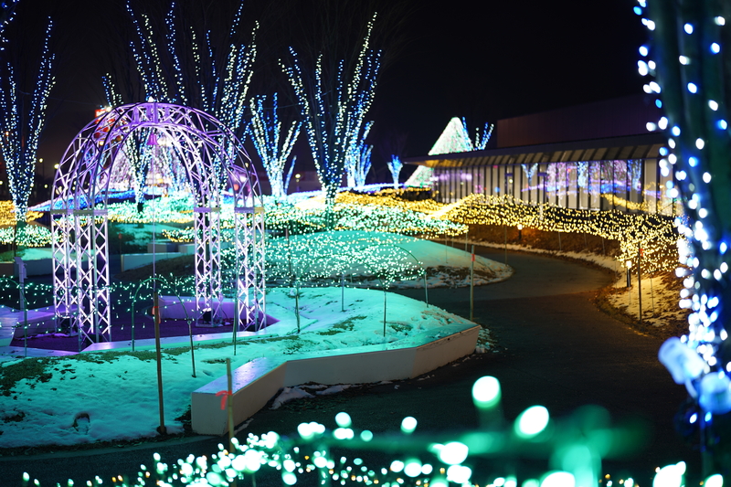 ウィンター画像2024