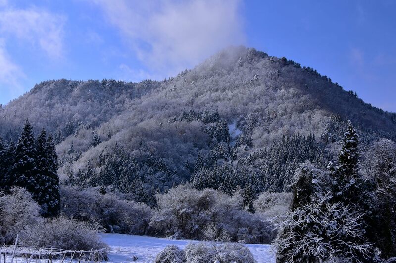 初冬の雪景色