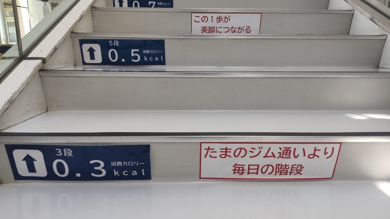 階段写真　横