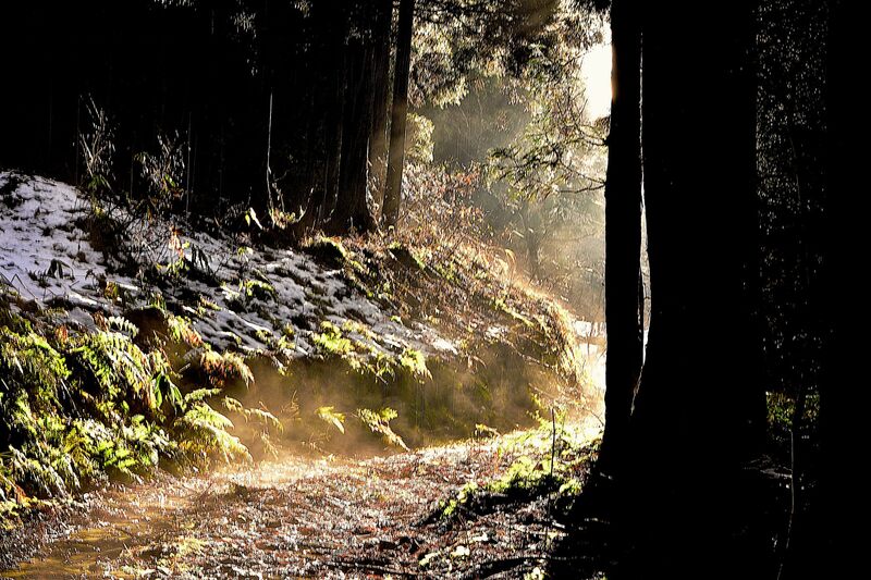 晴れ間に誘われて沼沢沼へ