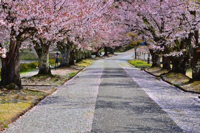 公園1