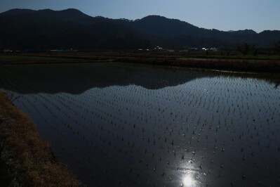 田鏡