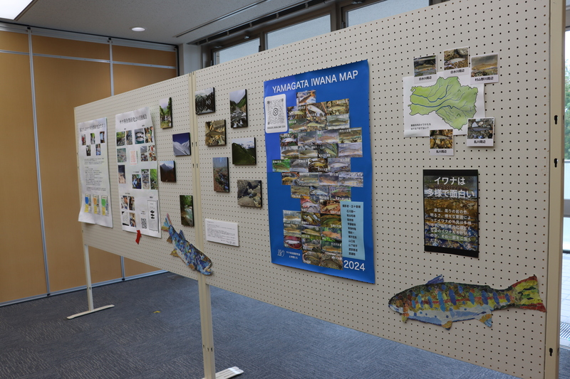 展示発表