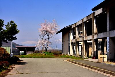 東郷1